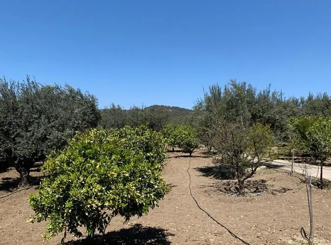 Secret Edem * Kolymbia