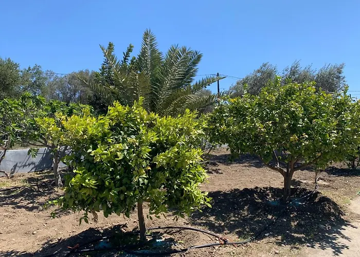 Secret Edem Kolymbia