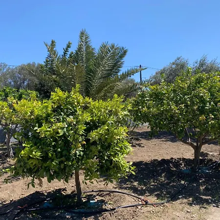 Secret Edem Kolymbia