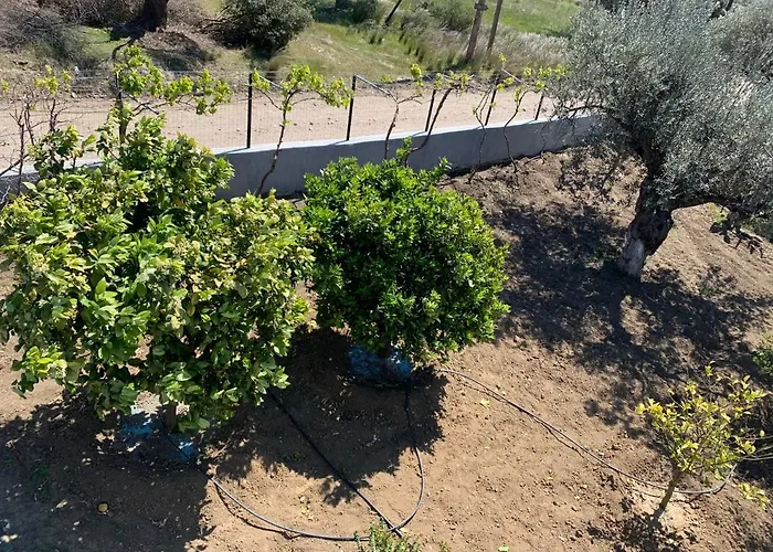 펜션 Secret Edem *