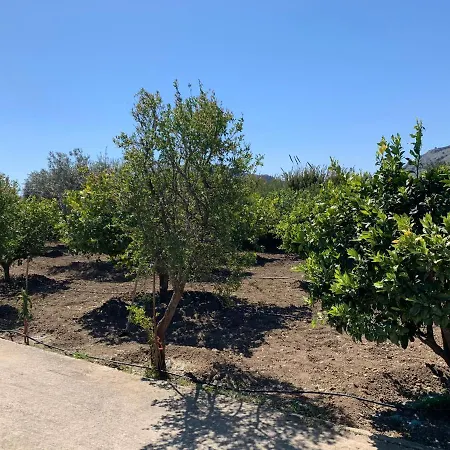 Secret Edem * Kolymbia