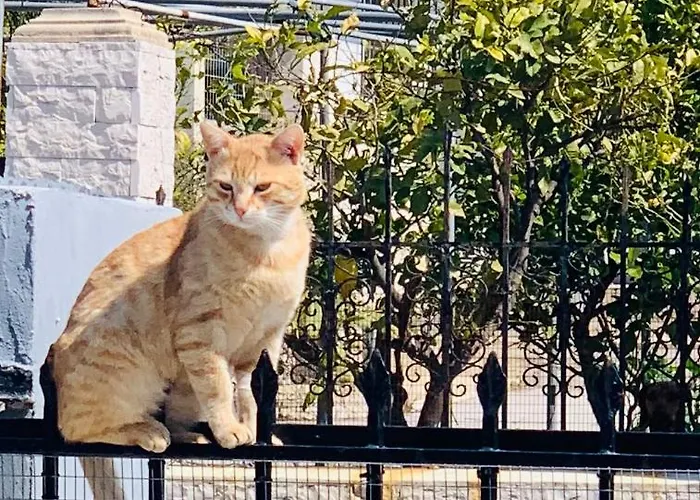 Secret Edem Vakantiehuis