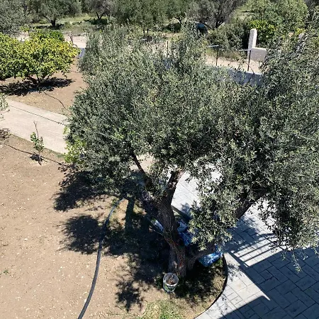 Secret Edem Kolymbia