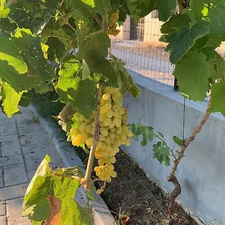 Secret Edem * Kolymbia