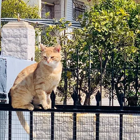 Secret Edem Vakantiehuis